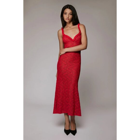 Bardot Alegra Stretch Lace Midi Dress in Fire Red 8 New Womens - Picture 15 of 15
